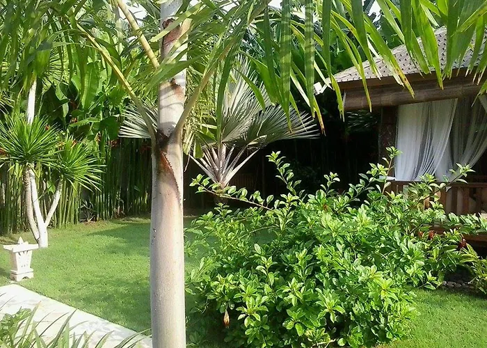 Villa Gusmania